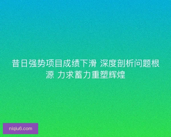 昔日强势项目成绩下滑 深度剖析问题根源 力求蓄力重塑辉煌